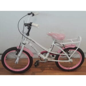 BICICLETA BLUE BIRD R15
